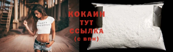 трава Аркадак
