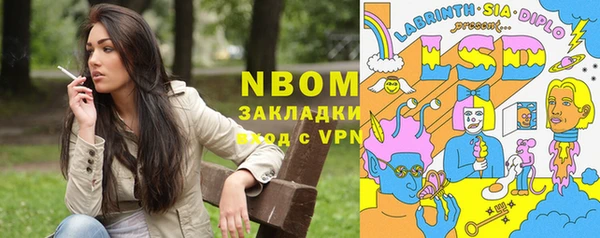 трава Аркадак