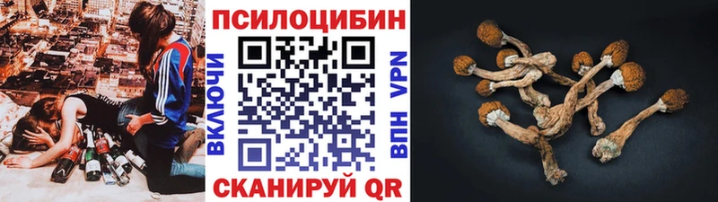 Галлюциногенные грибы GOLDEN TEACHER  ОМГ ОМГ онион  Галич 